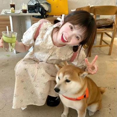 自由协议